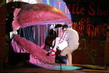 Little Shop of Horrors 42